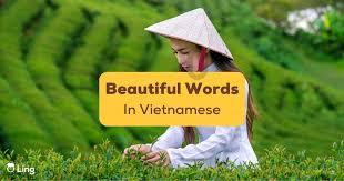 'Người đàn ông đẹp trai nhất thế giới 2022' đội nón lá Việt